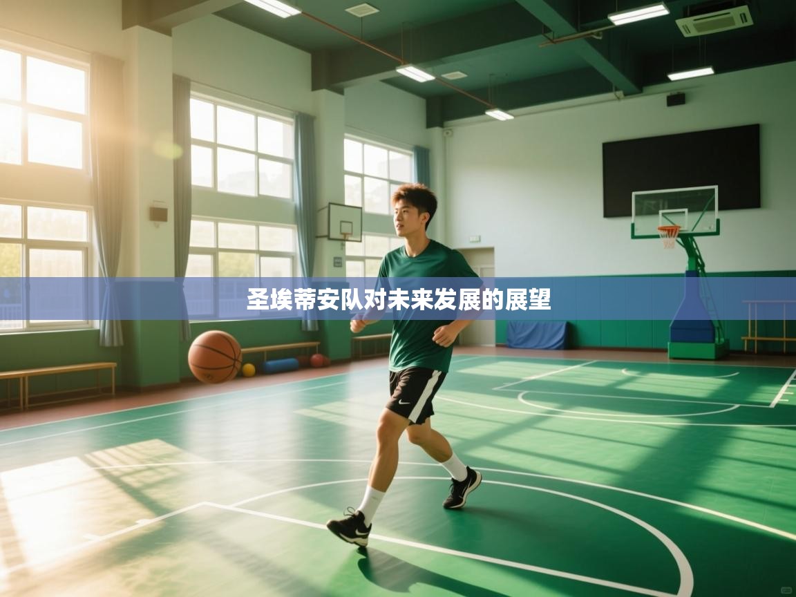 爱游戏体育下载-圣埃蒂安队对未来发展的展望  第2张