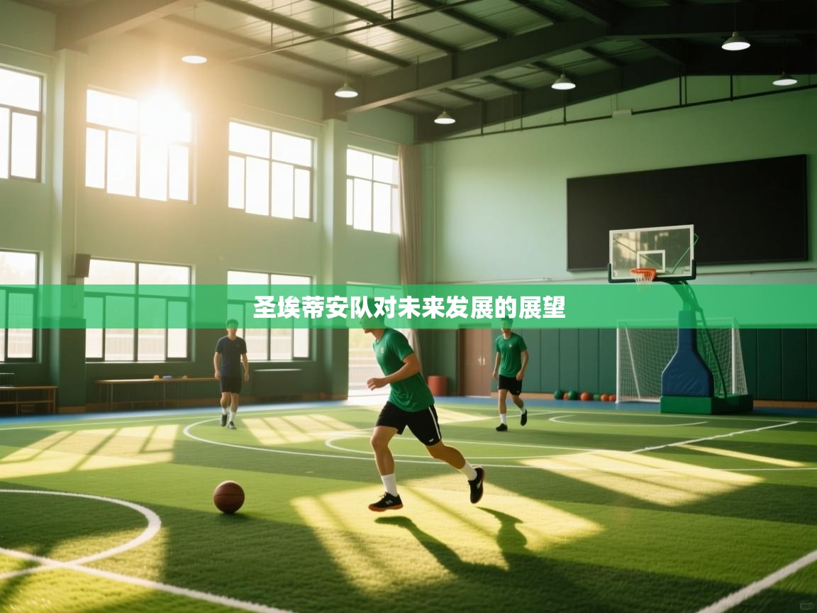 爱游戏体育下载-圣埃蒂安队对未来发展的展望  第3张