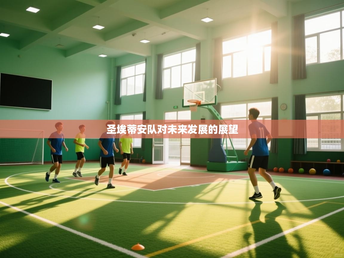 爱游戏体育下载-圣埃蒂安队对未来发展的展望  第4张