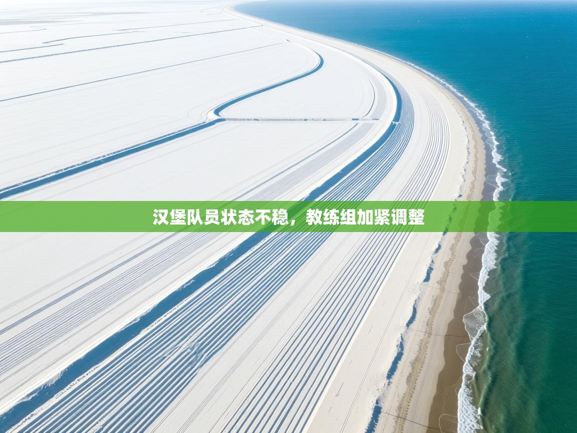 爱游戏体育娱乐-汉堡队员状态不稳,教练组加紧调整 第1张