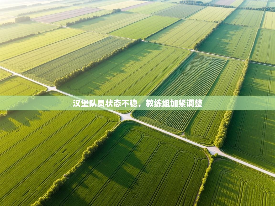 爱游戏体育娱乐-汉堡队员状态不稳,教练组加紧调整 第2张