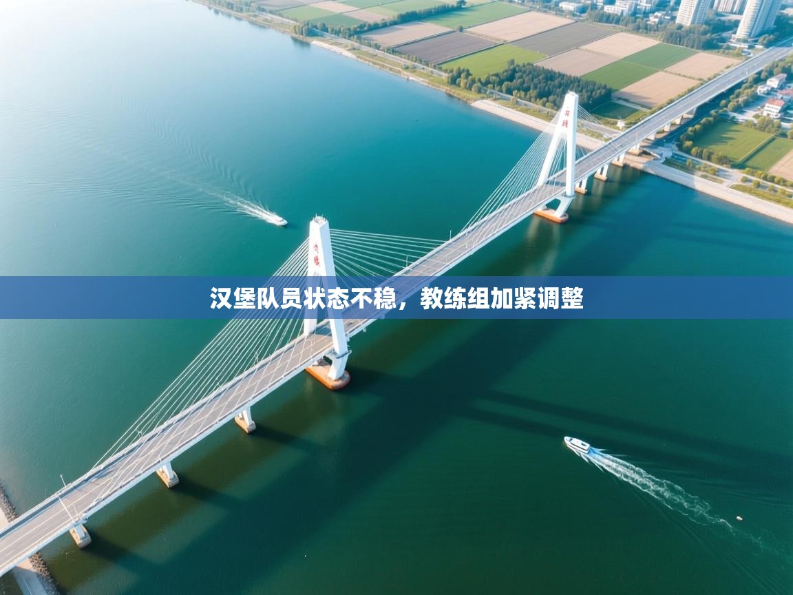 爱游戏体育娱乐-汉堡队员状态不稳,教练组加紧调整 第3张