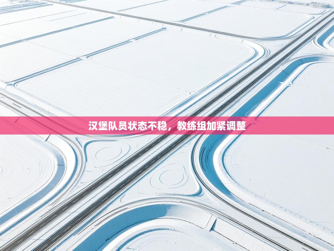 爱游戏体育娱乐-汉堡队员状态不稳,教练组加紧调整 第4张